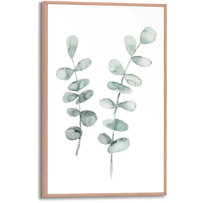 Afbeelding van Reinders! Poster Eucalyptus