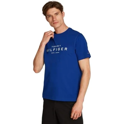 Afbeelding van Tommy Hilfiger BIG TEE Tshirt print, Heren, Maat: XS, Wedge blue
