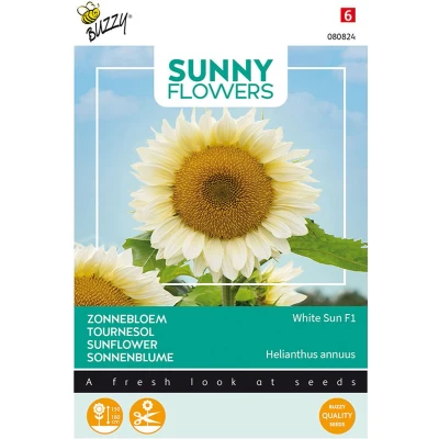 Afbeelding van Sunny Helianthus, Zonnebloem White Sun F1