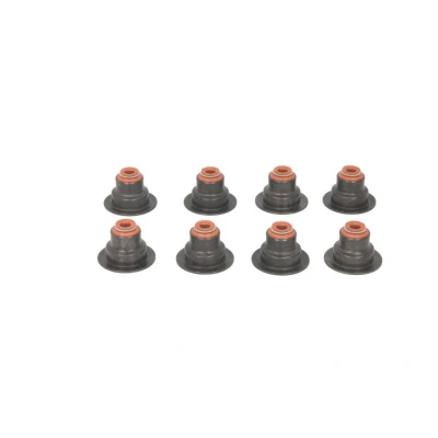 Afbeelding van Reinz Klepsteeldichting 12 33447 01
