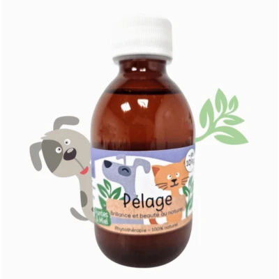 Afbeelding van KasTete Franse Natuurlijke vachtsiroop voor Honden en katten onder de 10 kg alphalpha heermoes propolis 200ml