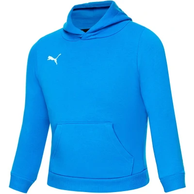 Afbeelding van PUMA kinderteamGOAL 23 Casuals hoody sweatshirt pullover 656711 blauw