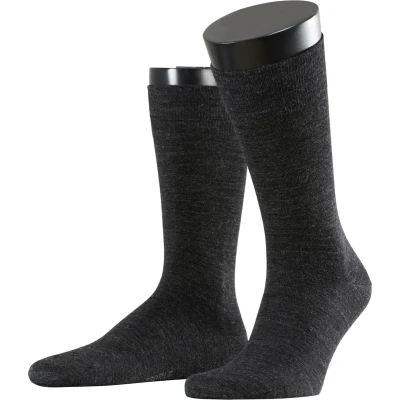 Afbeelding van Esprit Basic WOOL 2PACK UNI Sokken, Heren, Maat: 47 50, Anthra.mel (3080)