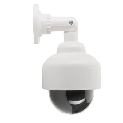 Afbeelding van Smartwares CS88D Dummy Dome Camera Muur en wandmontage Voor binnen buiten gebruik LED lamp