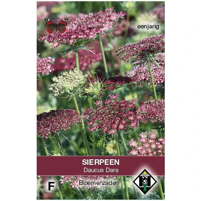 Afbeelding van Sierpeen Dara (Daucus carota)