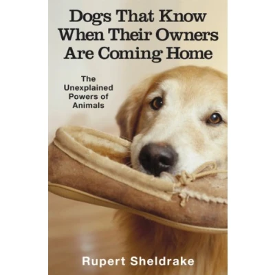 Afbeelding van Dogs That Know When Their Owners Are Coming Home: And Other Unexplained Powers of Animals