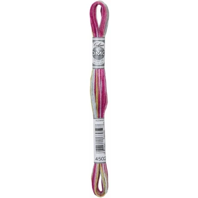 Afbeelding van DMC Mouline Coloris