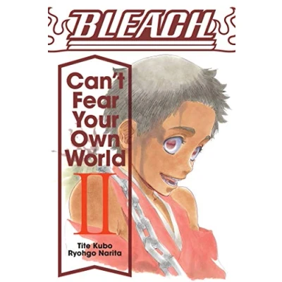 Afbeelding van BLEACH CANT FEAR YOUR OWN WORLD LIGHT NOVEL 02
