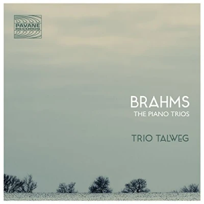 Afbeelding van Trio Talweg The Piano Trios (2 CD)