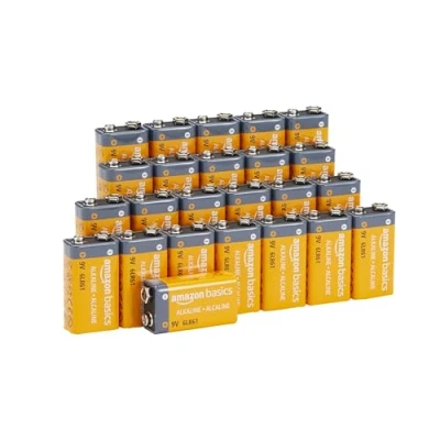 Afbeelding van Amazon Basics Everyday Alkalinebatterijen, 9 V, 24 stuks