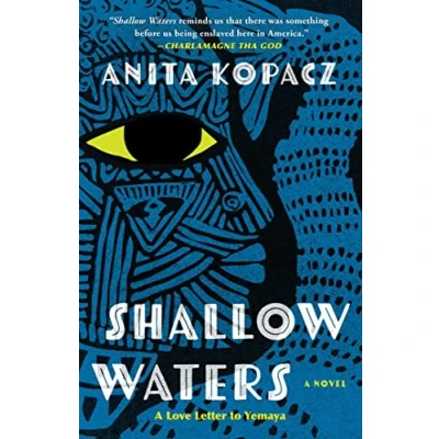 Afbeelding van Daughter of Three Waters Trilogy Shallow
