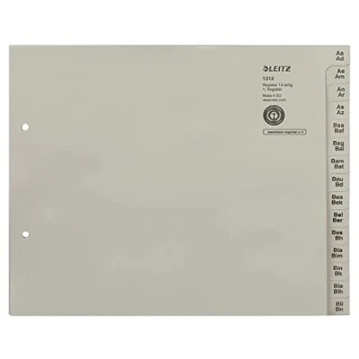 Afbeelding van Leitz, Map accessoires, Registerpapier grijs