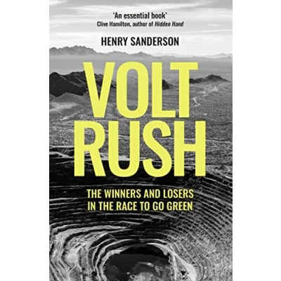 Afbeelding van Volt Rush: the Winners and Losers in Race to Go Green