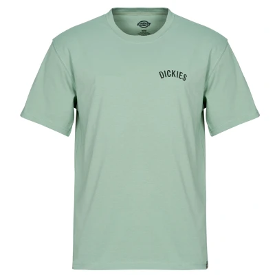 Afbeelding van T shirt Korte Mouw DICKIES SNAKE SS TEE