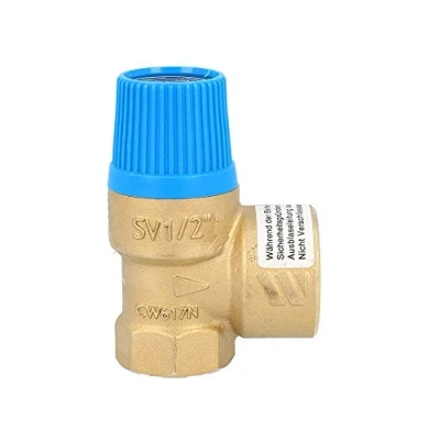 Afbeelding van Watts 0216106 membraan 1/2&quot;, 6 bar veiligheidsventiel, blauw