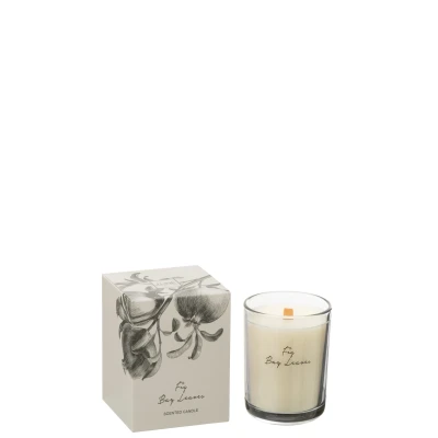 Afbeelding van J Line Geurkaars Vijgen Bessen Bladeren Coco Wax Large 50 Uur
