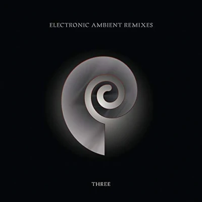 Afbeelding van Chris Carter Electronic Ambient Remixes Volume 3 (2 LP)