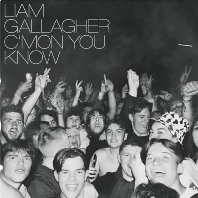 Afbeelding van Gallagher.Liam C Mon You Know (LP)