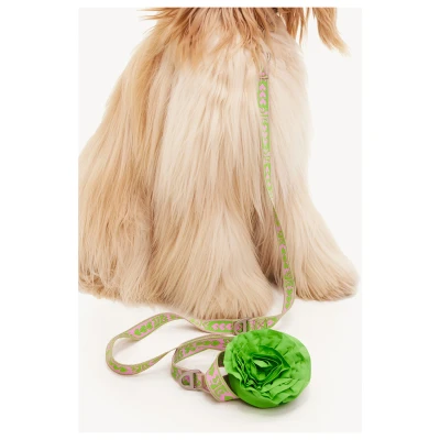 Afbeelding van Dogguo Hondenriem DL LEASH GREEN S