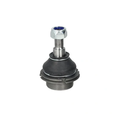 Afbeelding van Moog Fuseekogel PE BJ 3323