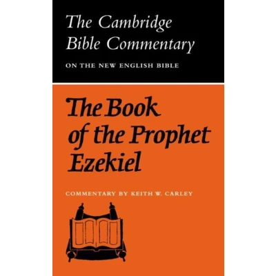 Afbeelding van the Book of Prophet Ezekiel