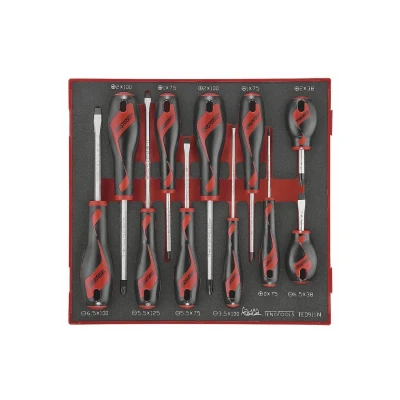 Afbeelding van TengTools TED911N Schroevendraaierset Foamy PH PZ 11 delig