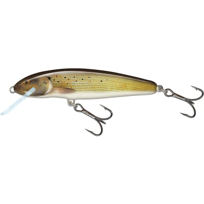Afbeelding van Salmo Minnow Floating 7cm Grayling Plug