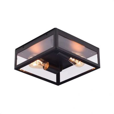 Afbeelding van Boston Buiten Plafondlamp 2 Lichtpunten