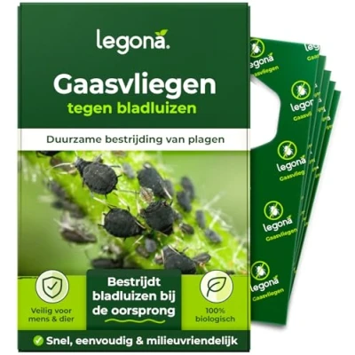 Afbeelding van Legona® gaasvlieglarven tegen bladluis &amp; trips 2 kaarten à 1 levering Effectieve bestrijding van spint, wolluis Biologisch alternatief