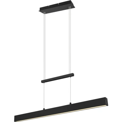 Afbeelding van REALITY PAROS Hanglamp Zwart mat incl. 1x SMD 22W