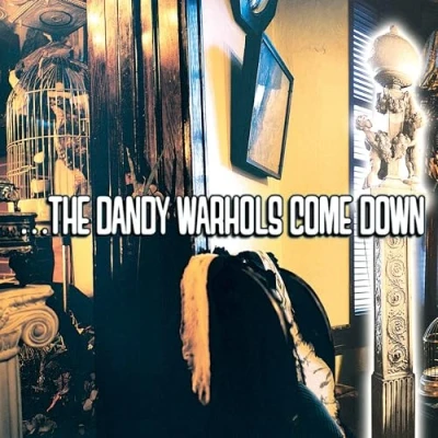 Afbeelding van Dandy Warhols ...The Come Down (2 LP)