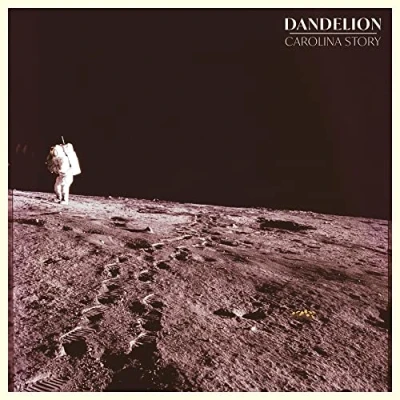 Afbeelding van Dandelion