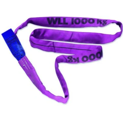 Afbeelding van Braun 10061RS ronde hijsling 1000 kg draagkracht, 6 m omtrek, eindeloos met polyester kern, violet