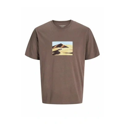 Afbeelding van Jack &amp; Jones Jorvesterbro Picture CREW NECK Tshirt print, Heren, Maat: XS, Deep taupe