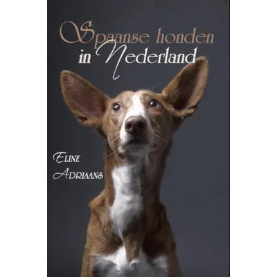 Afbeelding van Spaanse honden in Nederland
