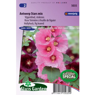 Afbeelding van Sluis Garden Stokroos Antwerp Stars (Alcea rosea)