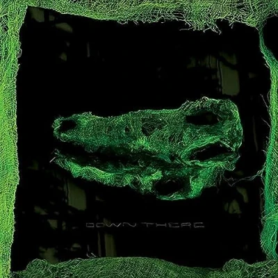 Afbeelding van Avey Tare Down There (CD)