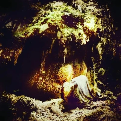 Afbeelding van Wolves In The Throne Room Celestial Lineage (CD)