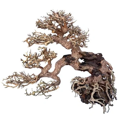 Afbeelding van Croci Hout Oosterse Wind 7 Small 1 Count 21 g, 25 X 10 20 cm