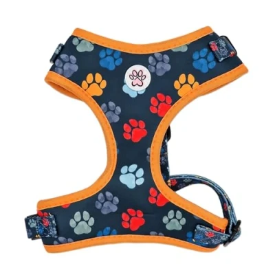 Afbeelding van Hondentuigje Zacht Tuigje / Honden Harnas Blauw Pootjes You are My Universe Paw God! Maat L