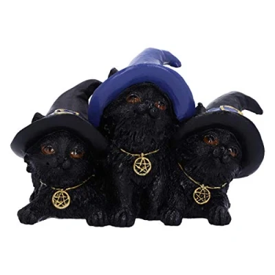 Afbeelding van Nemesis Now Beeld/figuur Familiar Felines Zwarte kat Multicolours