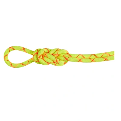 Afbeelding van Mammut 9.5 Alpine Core Protect Dry Rope met araminde mantel 70 meter