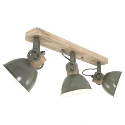 Afbeelding van Plafondlamp Gearwood 2133G Groen