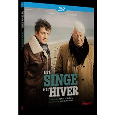 Afbeelding van SINGE EN HIVER (UN) GC BLU RAY