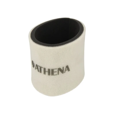 Afbeelding van Luchtfilter ATHENA S410250200026