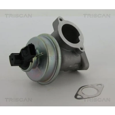 Afbeelding van Triscan EGR klep 8813 16012