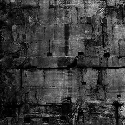 Afbeelding van Coffin Dancer Pax Romana (LP)