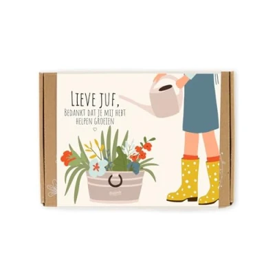 Afbeelding van Blossombs bloembommetjes giftbox lieve juf 7 Stuks