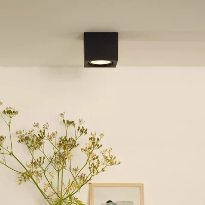 Afbeelding van Lucide FEDLER Plafondspot LED Dim to warm GU10 1x12W Zwart