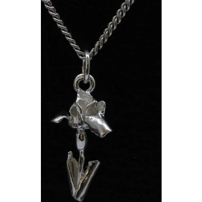 Afbeelding van Zilveren Iris ketting hanger